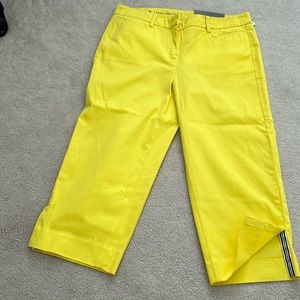 Summer pants/ Perfect Skimmet